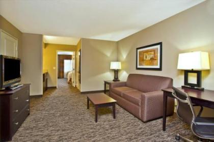 Holiday Inn Green Bay - Stadium an IHG Hotel - image 3