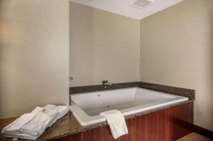 Comfort Suites Green Bay - image 2