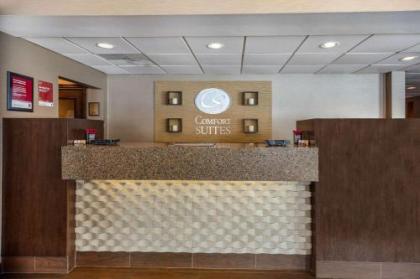 Comfort Suites Green Bay - image 3