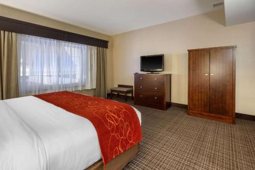 Comfort Suites Green Bay - image 4