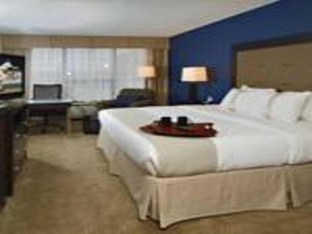 Holiday Inn Washington D.C. - Greenbelt Maryland an IHG Hotel - image 6