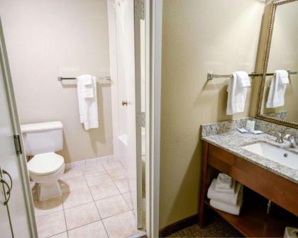 Comfort Inn Greencastle - image 8