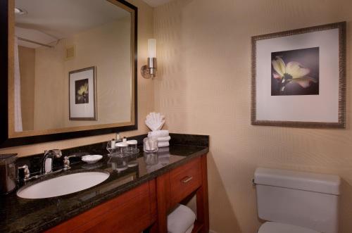 Embassy Suites Greensboro Airport - image 2