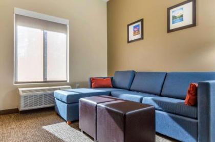 Comfort Suites Greensboro-High Point - image 5