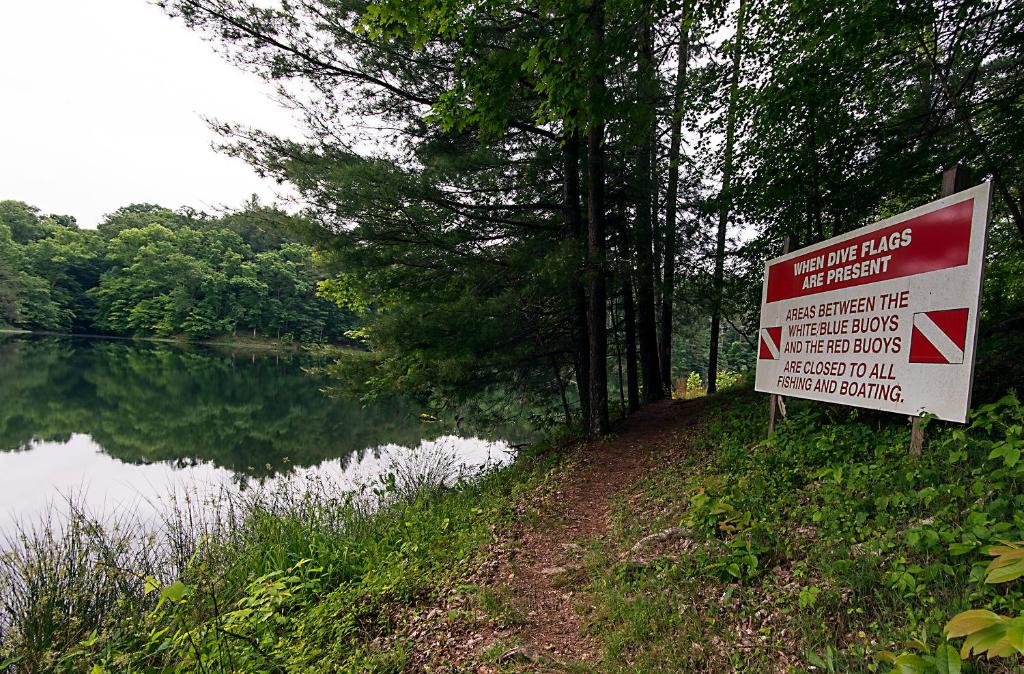 Greenbo Lake State Resort Park - image 7