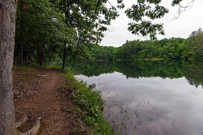 Greenbo Lake State Resort Park - image 9