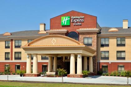 Holiday Inn Express Hotel & Suites Greenville an IHG Hotel - image 2