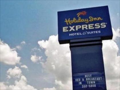 Holiday Inn Express Hotel & Suites Greenville - image 10