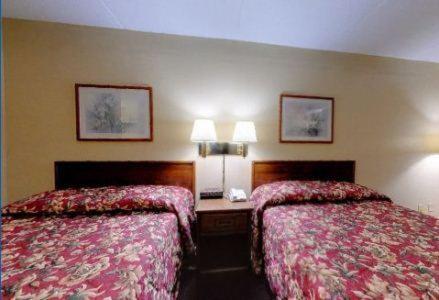 Americas Best Value Inn & Suites Greenville - image 5