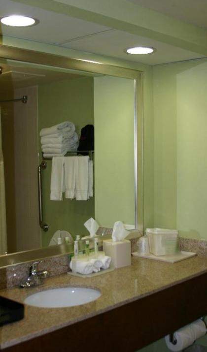 Holiday Inn Express Greenville an IHG Hotel - image 2