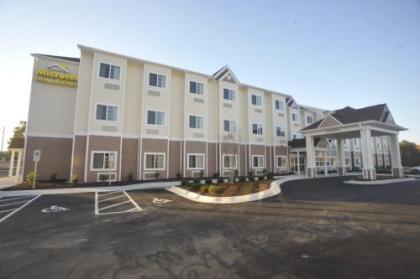 Microtel Inn & Suites by Wyndham Greenville/University Med - image 9