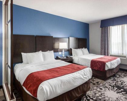 Comfort Suites Greenville - image 10