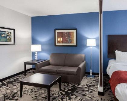 Comfort Suites Greenville - image 3