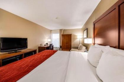 Comfort Inn Greenville - Haywood Mall - image 2