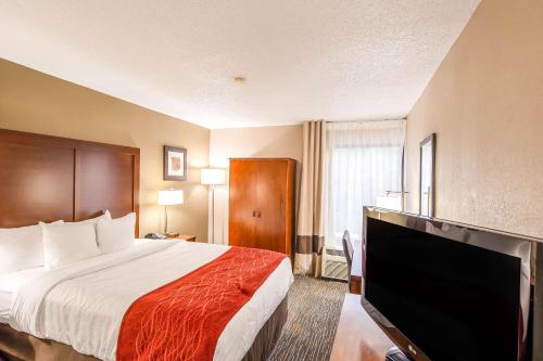 Comfort Inn Greenville - Haywood Mall - image 4