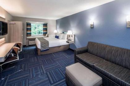 Microtel Inn & Suites - Greenville - image 5