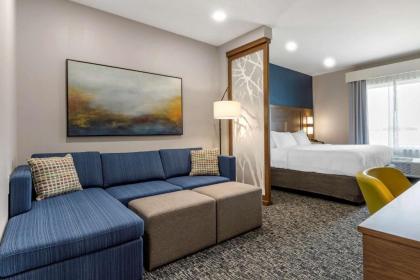 Comfort Suites Greenville Airport - image 8