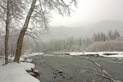 Four Stone Lodge Greenwater