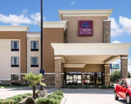 Comfort Suites Greenwood - image 14