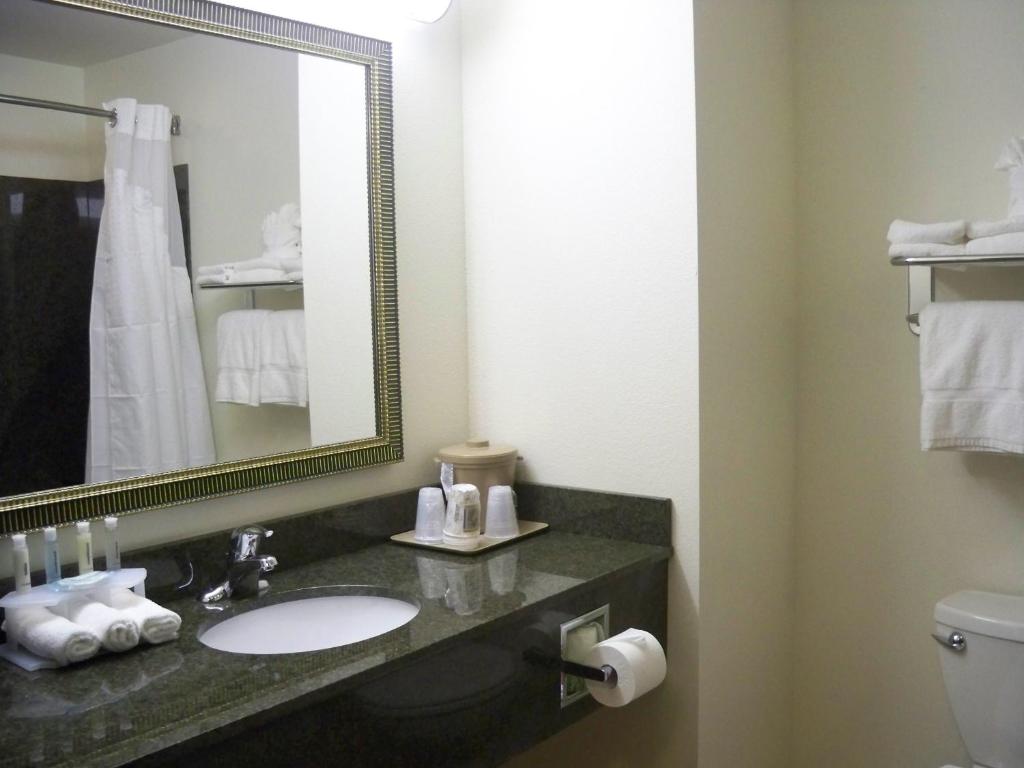 Holiday Inn Express & Suites - Omaha I - 80 an IHG Hotel - image 3