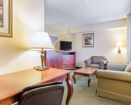 Econo Lodge Inn & Suites - Griffin - image 10