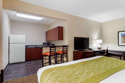 Comfort Inn & Suites Griffin - image 5