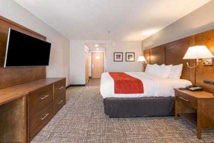 Comfort Inn Grove City - image 9