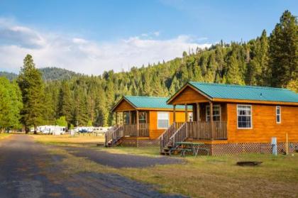 Yosemite Lakes Wheelchair Accessible Cabin 46 - image 5