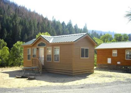 Yosemite Lakes Wheelchair Accessible Cottage 53 - image 4