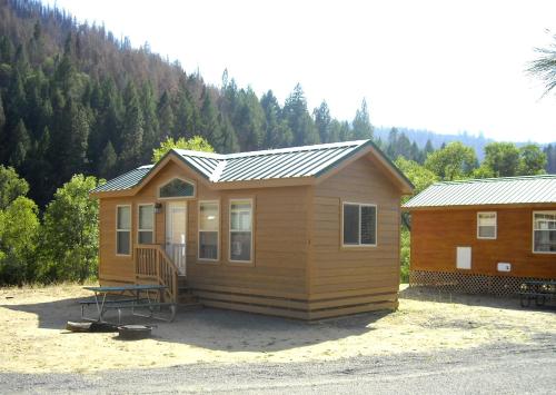 Yosemite Lakes Wheelchair Accessible Cottage 53 - image 4