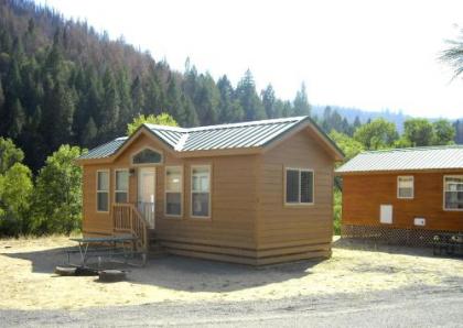 Yosemite Lakes Wheelchair Accessible Cottage 53 - image 5