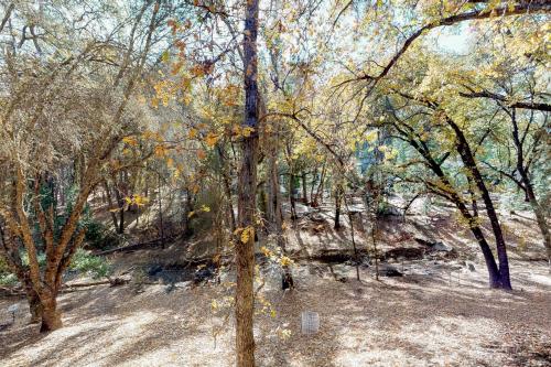 Creekside Cabin - image 5