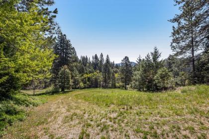 Yosemite Mountain Cottage - image 3