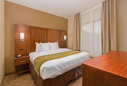 Comfort Inn & Suites - Fort Gordon - image 5