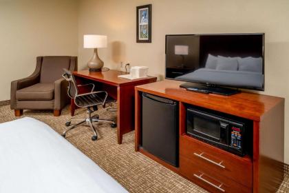 Comfort Inn & Suites Grundy - image 11