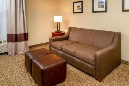 Comfort Inn & Suites Grundy - image 15