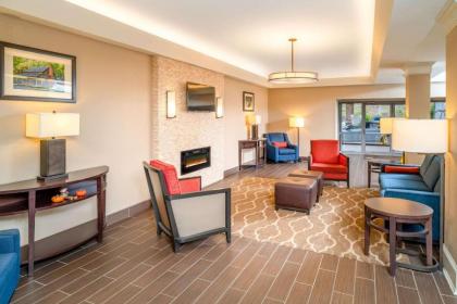 Comfort Inn & Suites Grundy - image 3