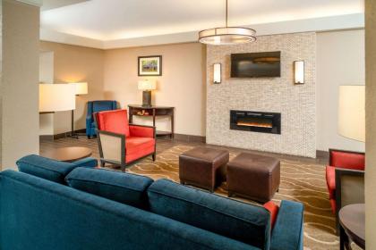 Comfort Inn & Suites Grundy - image 5