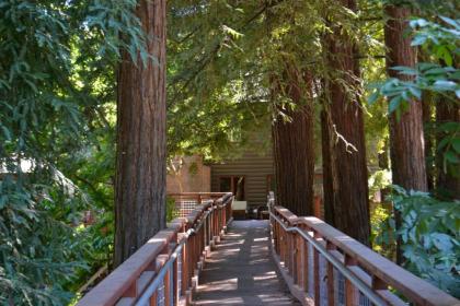 Guerneville Lodge - image 11