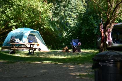 Guerneville Lodge - image 13