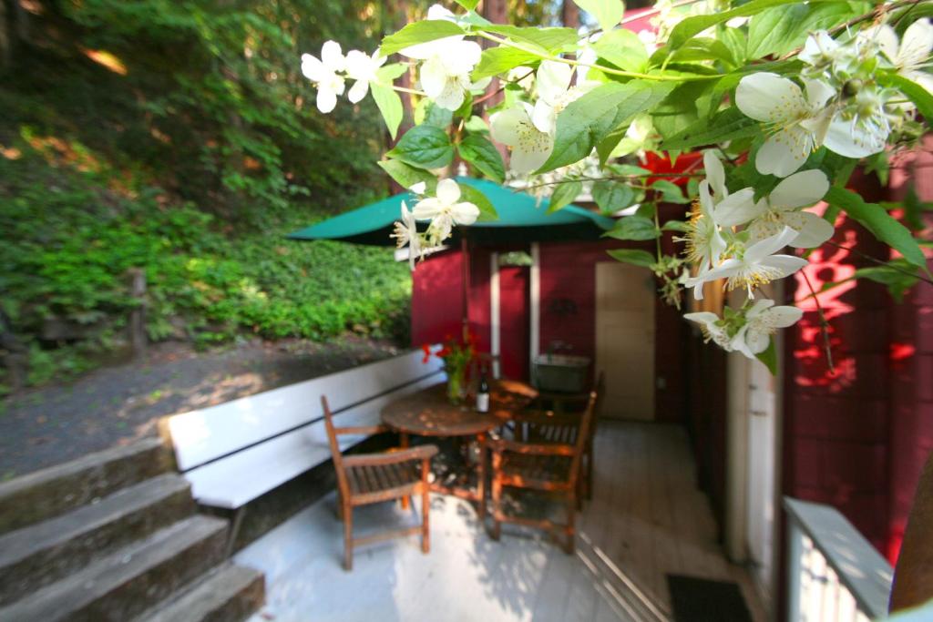 Back in the Day! Redwoods! Walk to River!! BBQ Grill! Fast WiFi!! Dog Friendly! - image 3