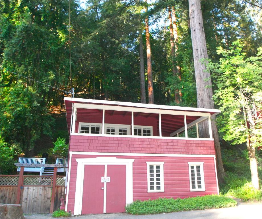 Back in the Day! Redwoods! Walk to River!! BBQ Grill! Fast WiFi!! Dog Friendly! - image 5