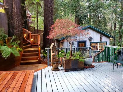 Guerneville Cottage! Redwoods! Hot Tub! Fire Table! Fast WiFi!! Serenity Defined! - image 2