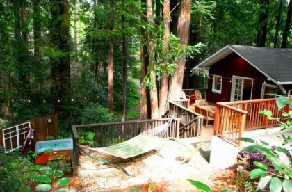 Little Red House! Redwoods! Hot Tub! BBQ! Fast WiFi!! Multiple Decks!! Near Golf Course!! Dog Friendly! - image 3