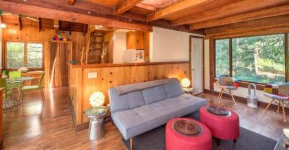 Tree Fort! Redwoods! Hot Tub!! Fire Table!! Google Smart Home!! Fast WiFi!! Dog Friendly! - image 10