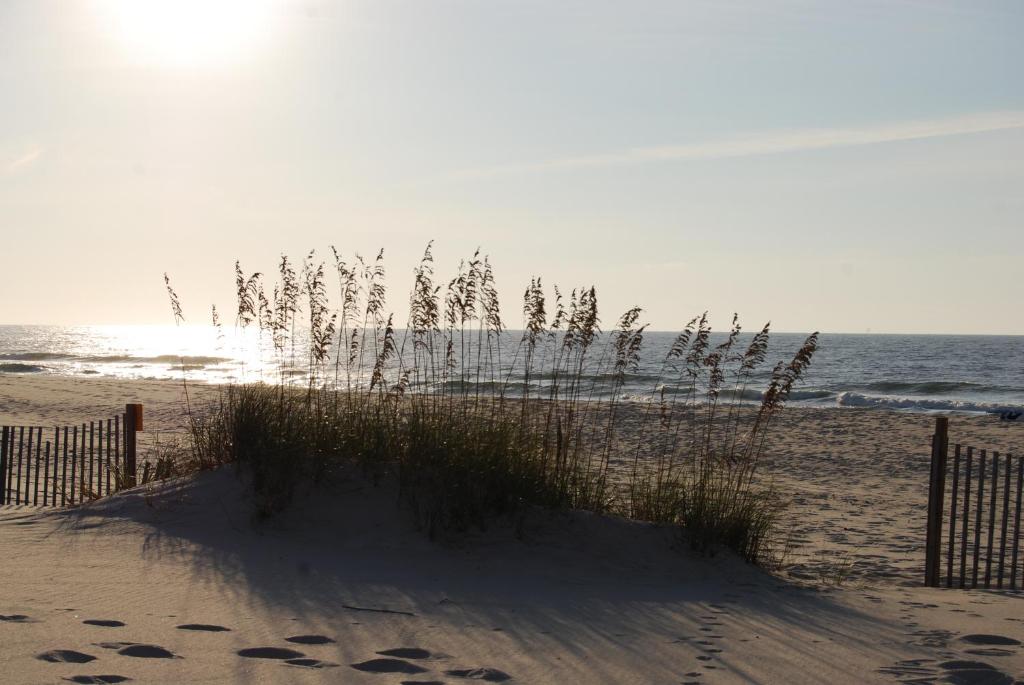 Dunes 709 Condo - image 4