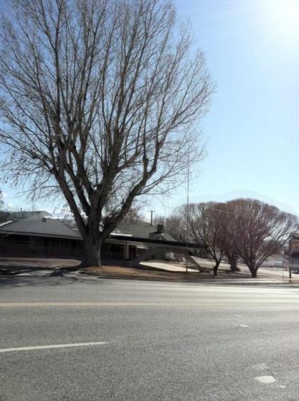 Gunnison Inn - image 3