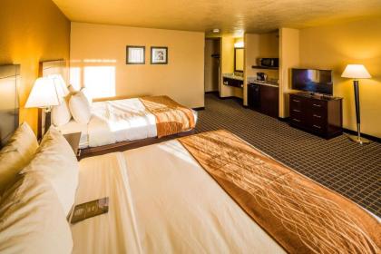 Comfort Inn & Suites Gunnison-Crested Butte - image 6