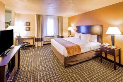 Comfort Inn & Suites Gunnison-Crested Butte - image 9