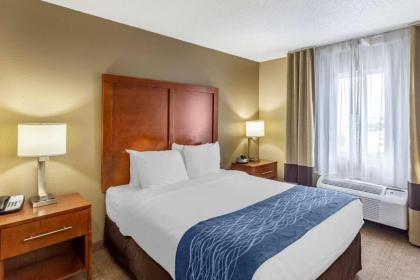 Comfort Inn Gurnee near Six Flags - image 10